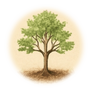 Arbre moyen