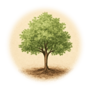 Grand arbre
