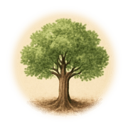Arbre adulte
